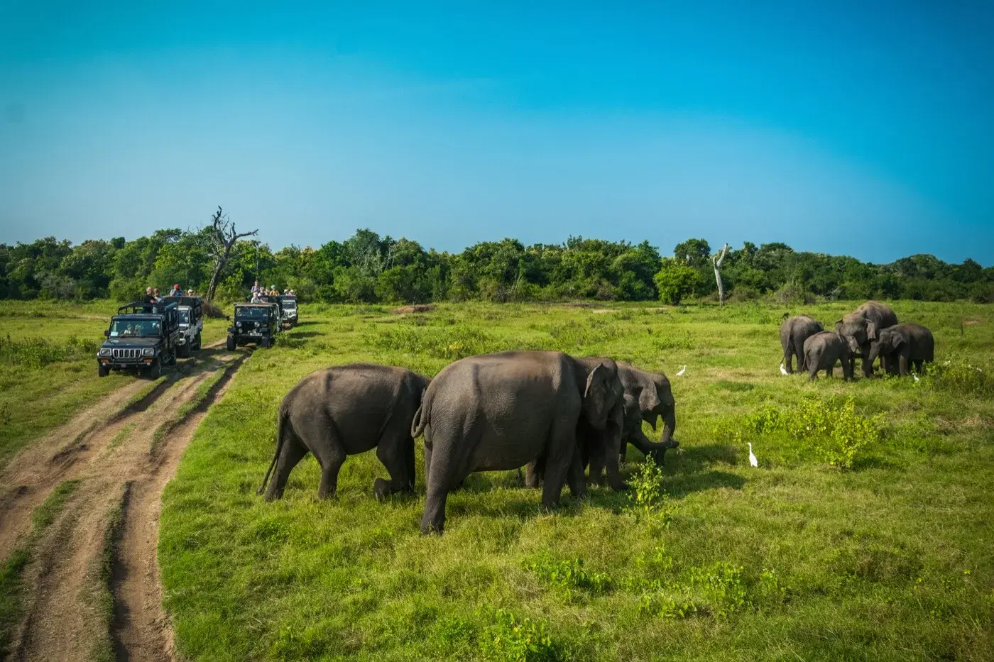 Sri Lanka destination