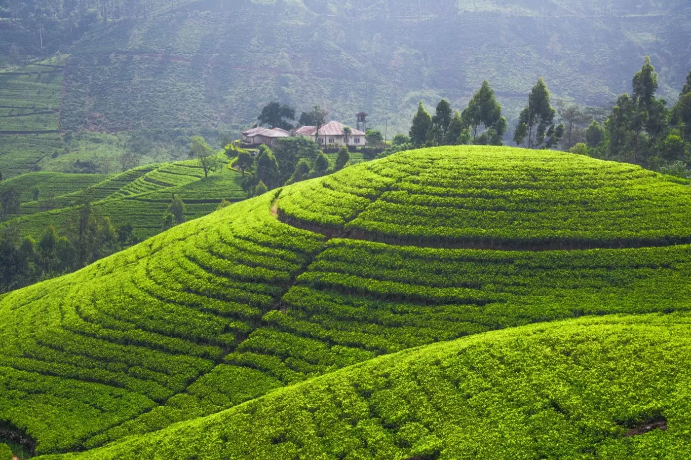 Sri Lanka destination