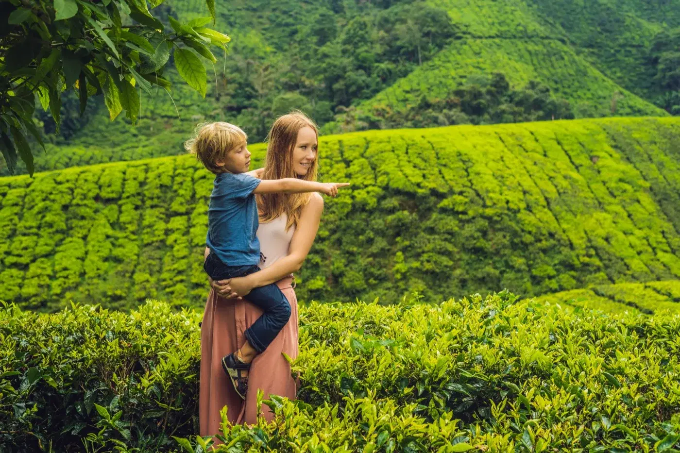 Sri Lanka scenery