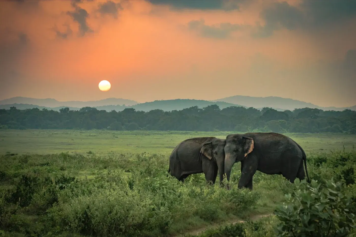 Sri Lanka travel
